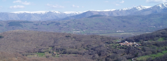 Umbras y Tineo, ganadores del Premio Conama a la sostenibilidad